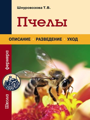 cover image of Пчелы